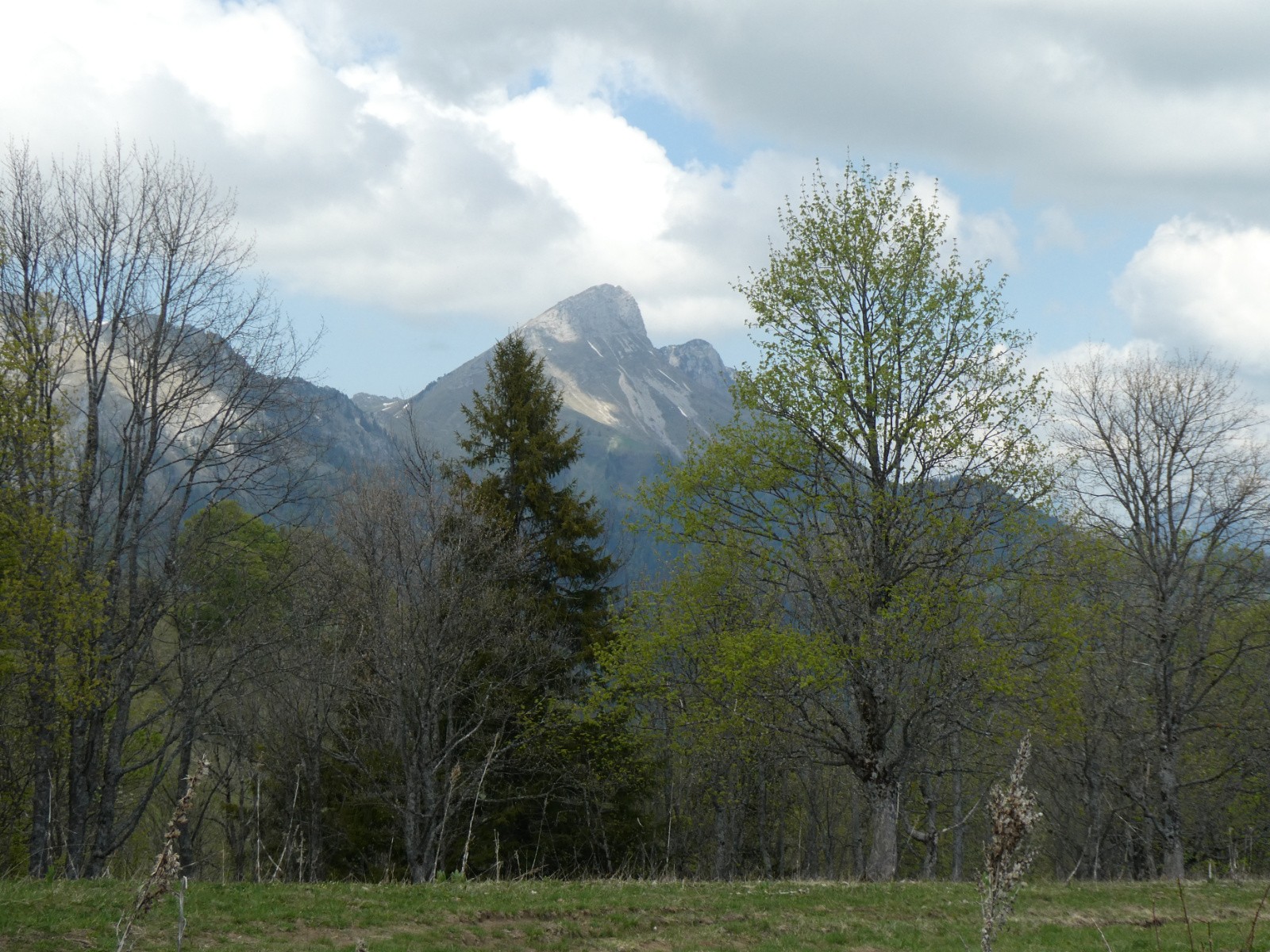 Le Colombier