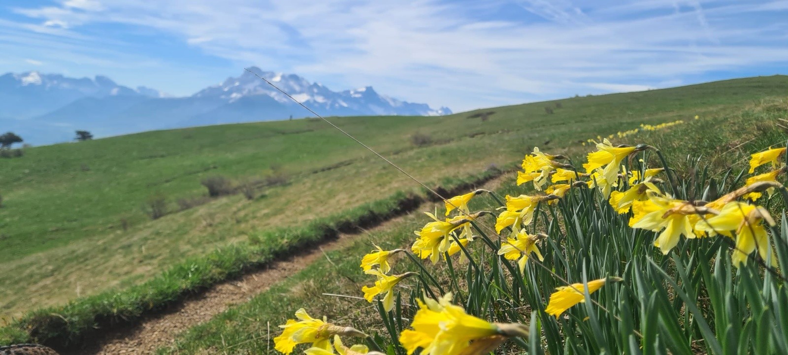 &nbsp;parcours fleuri