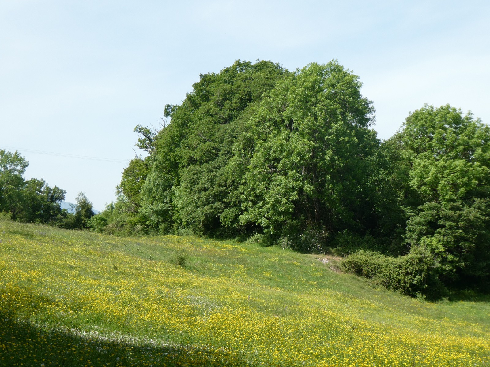 Haut de Chanaz, champêtre.