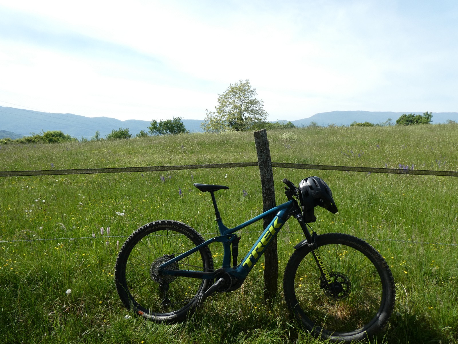 Pause au soleil.