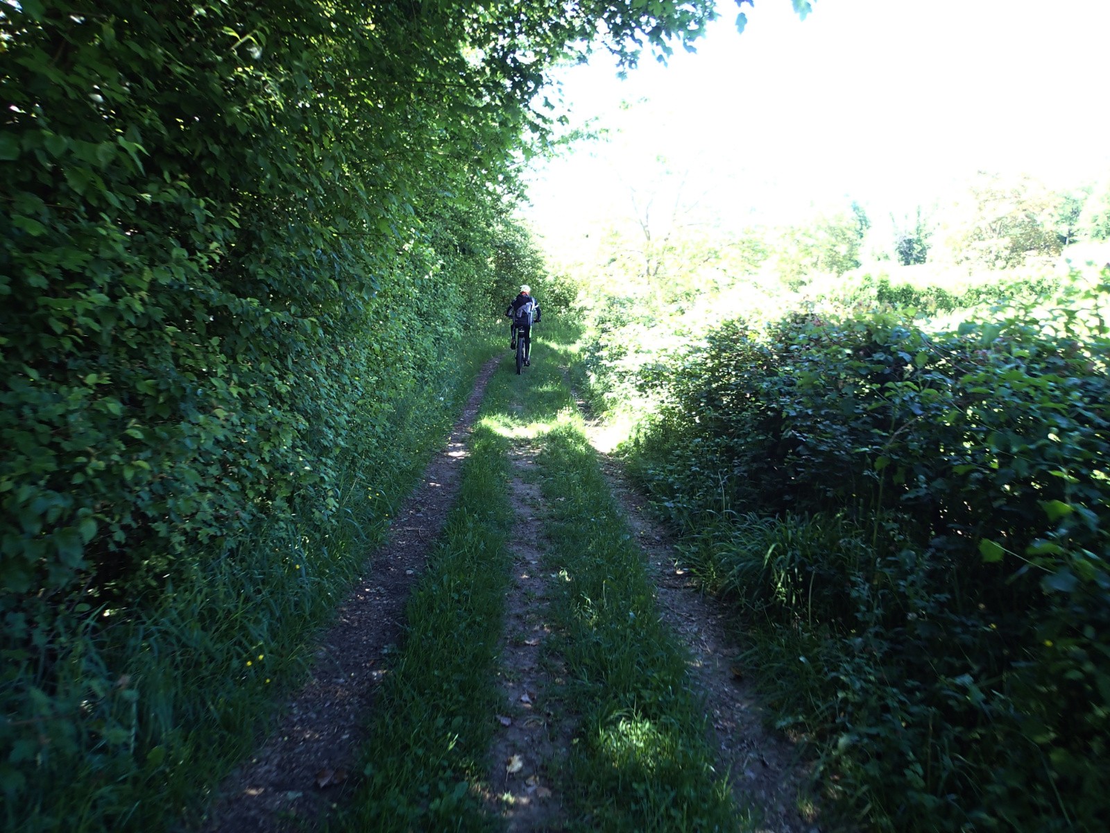 On est dans la verdure...