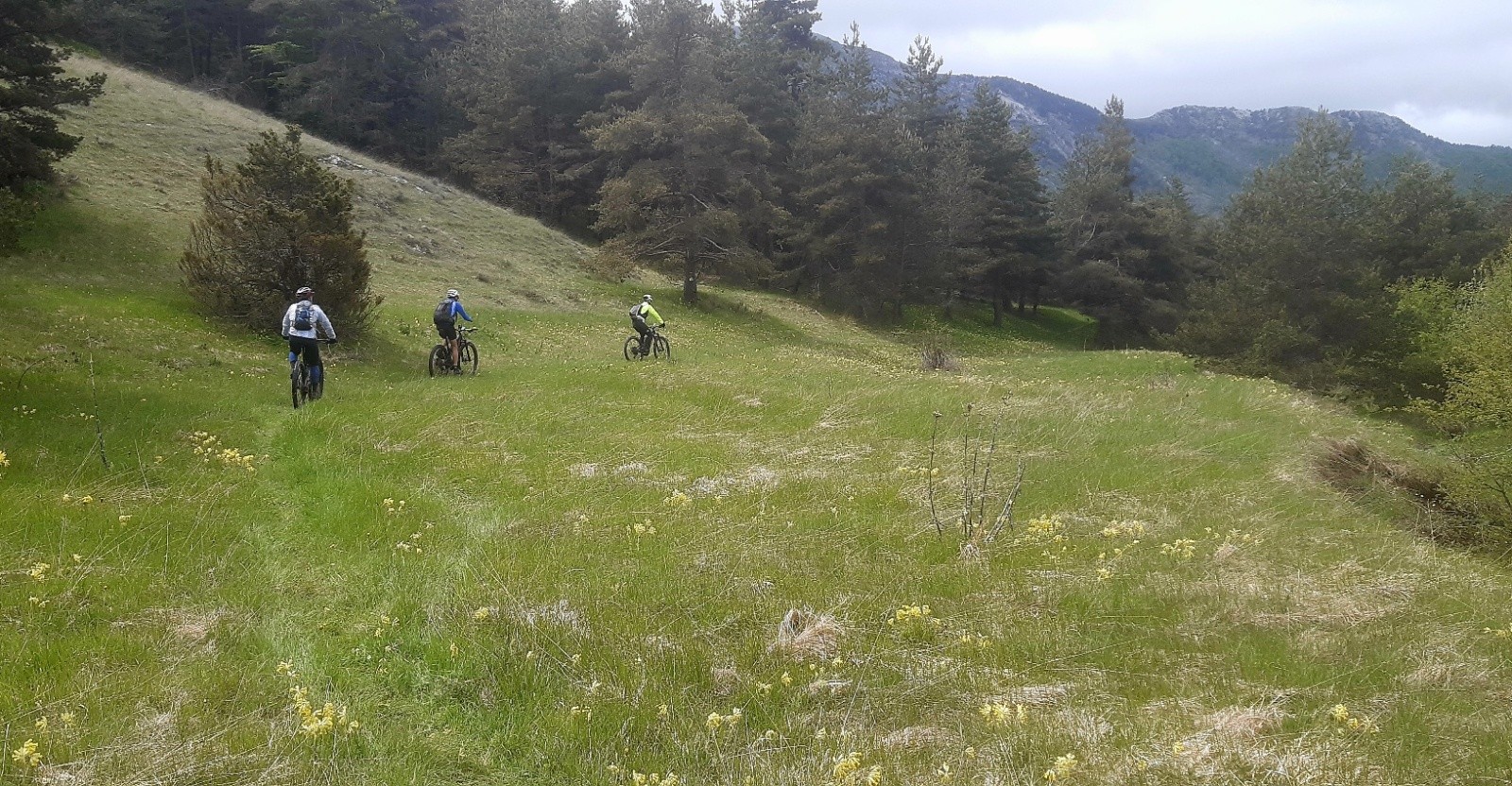 Descente Col de Plante ou des Priourets