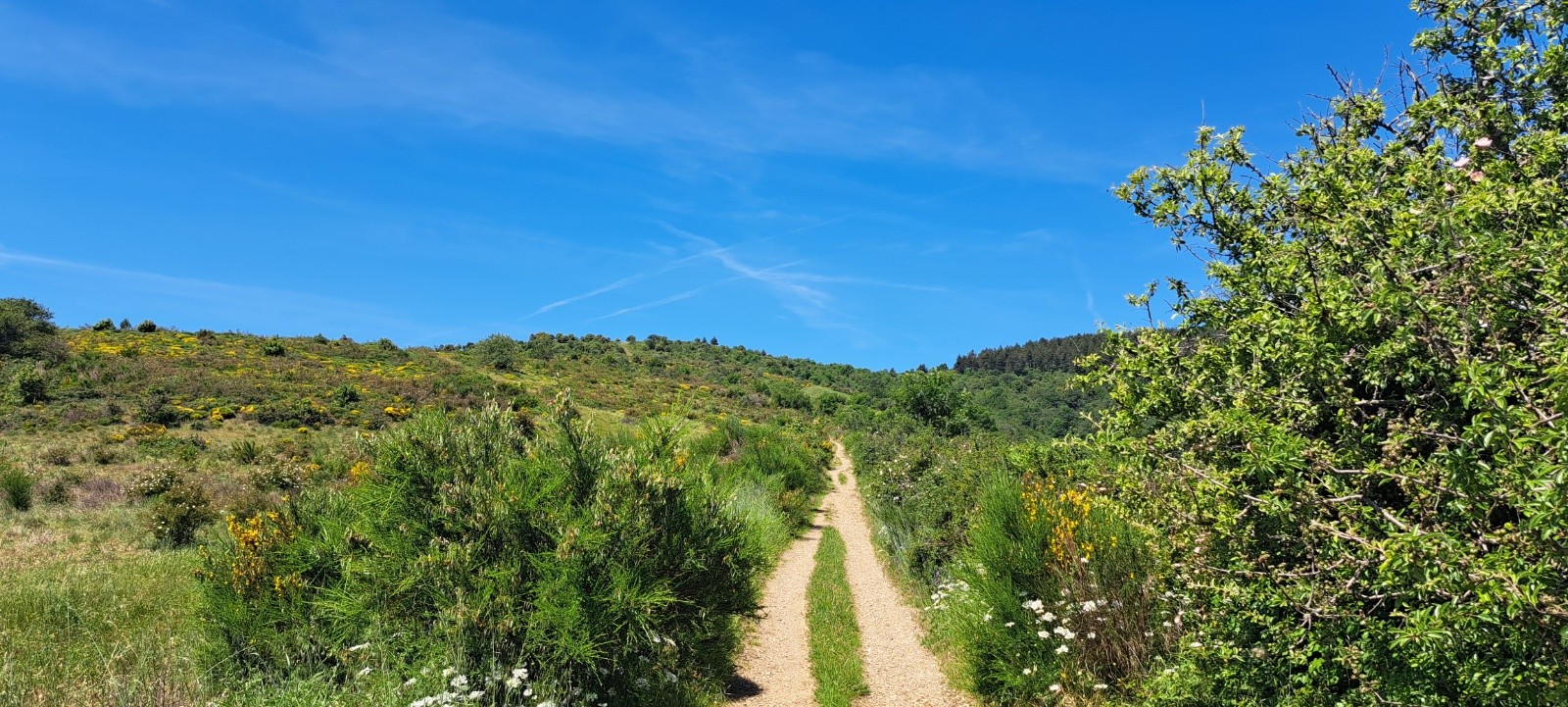 #3 Sentier vers Serre de Boulon Sentier vers Serre de Boulon
