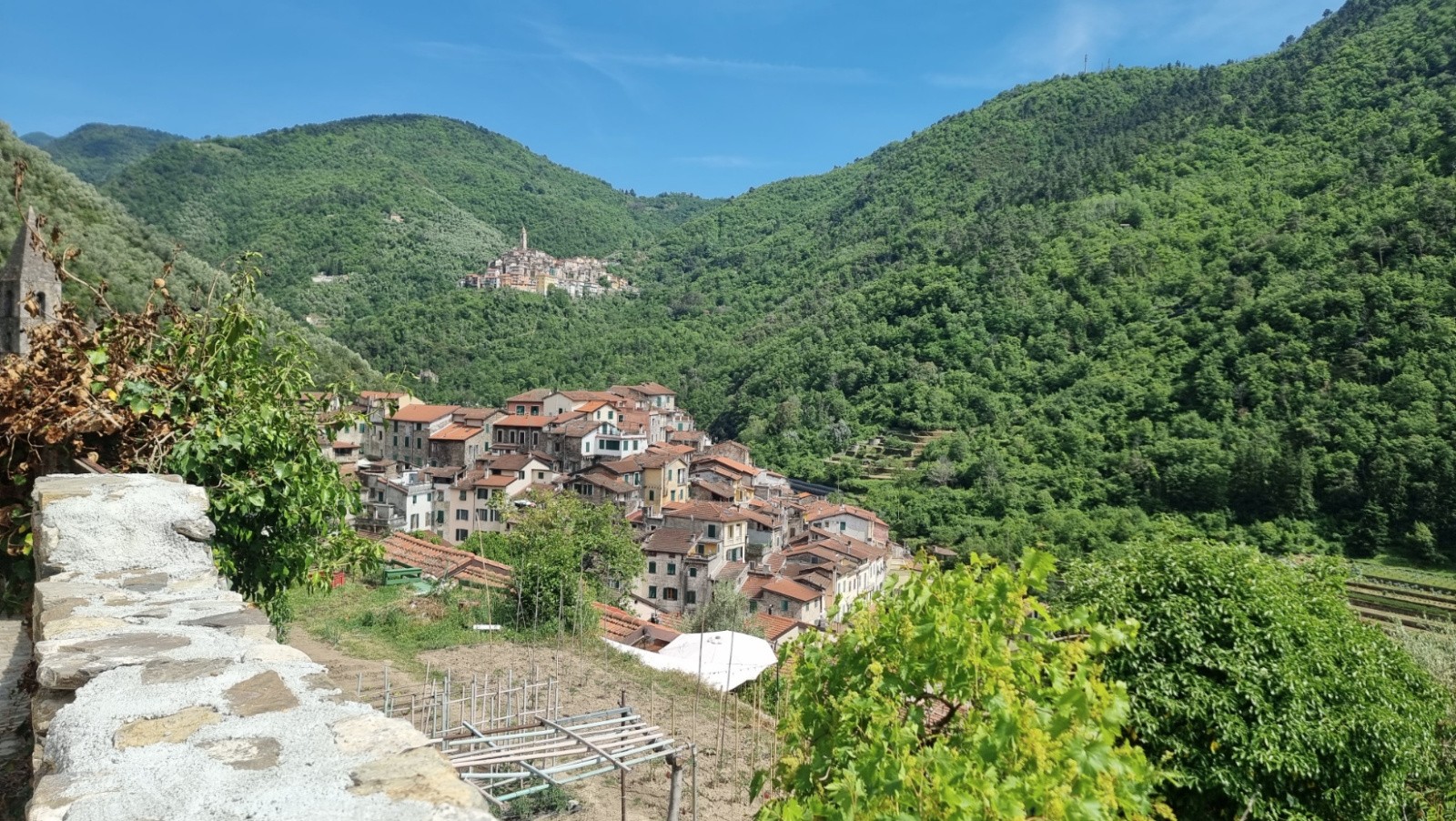 #24 Pigna Pigna