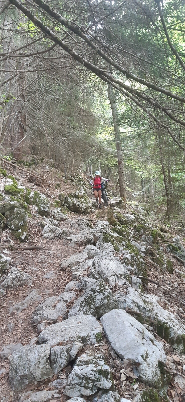 Final sentier du col du coq