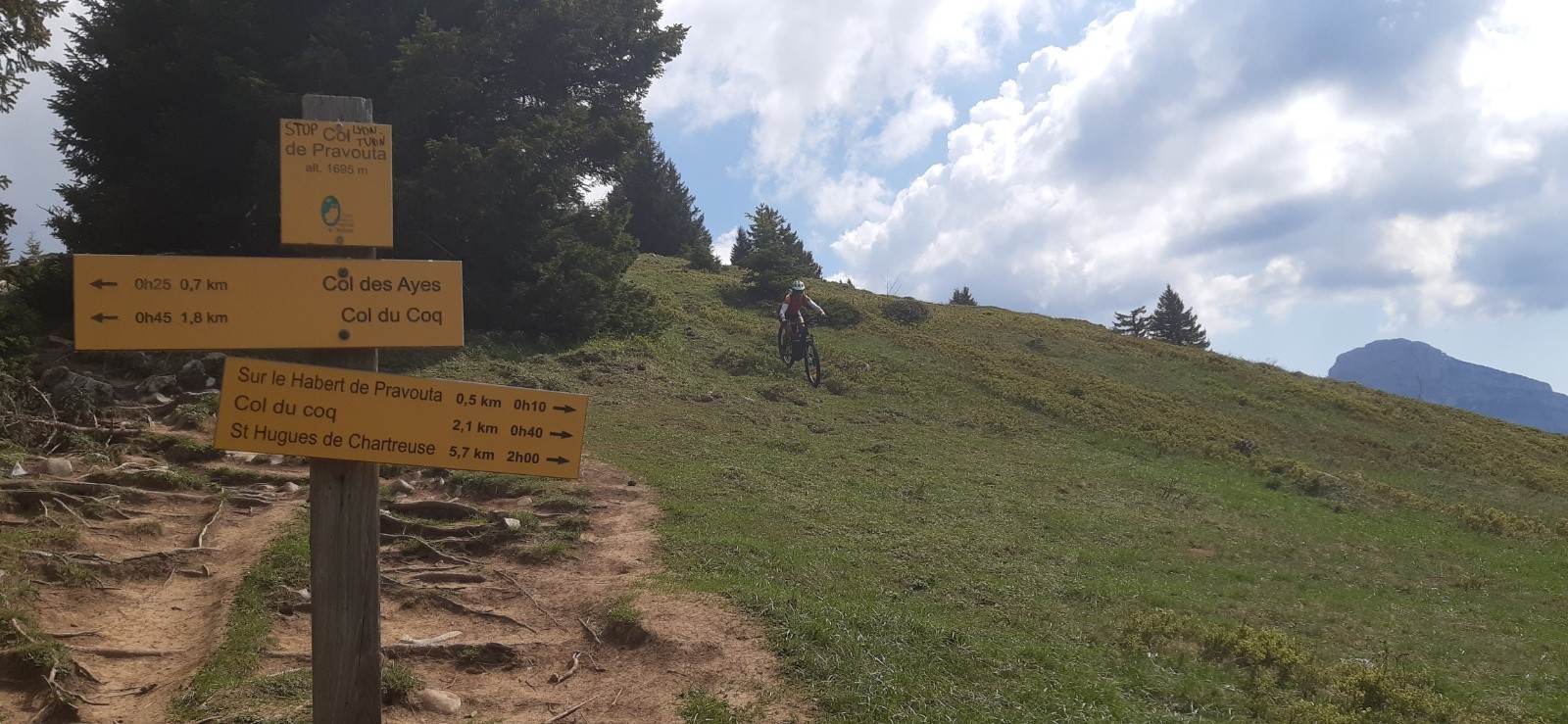 Descente Pavouta