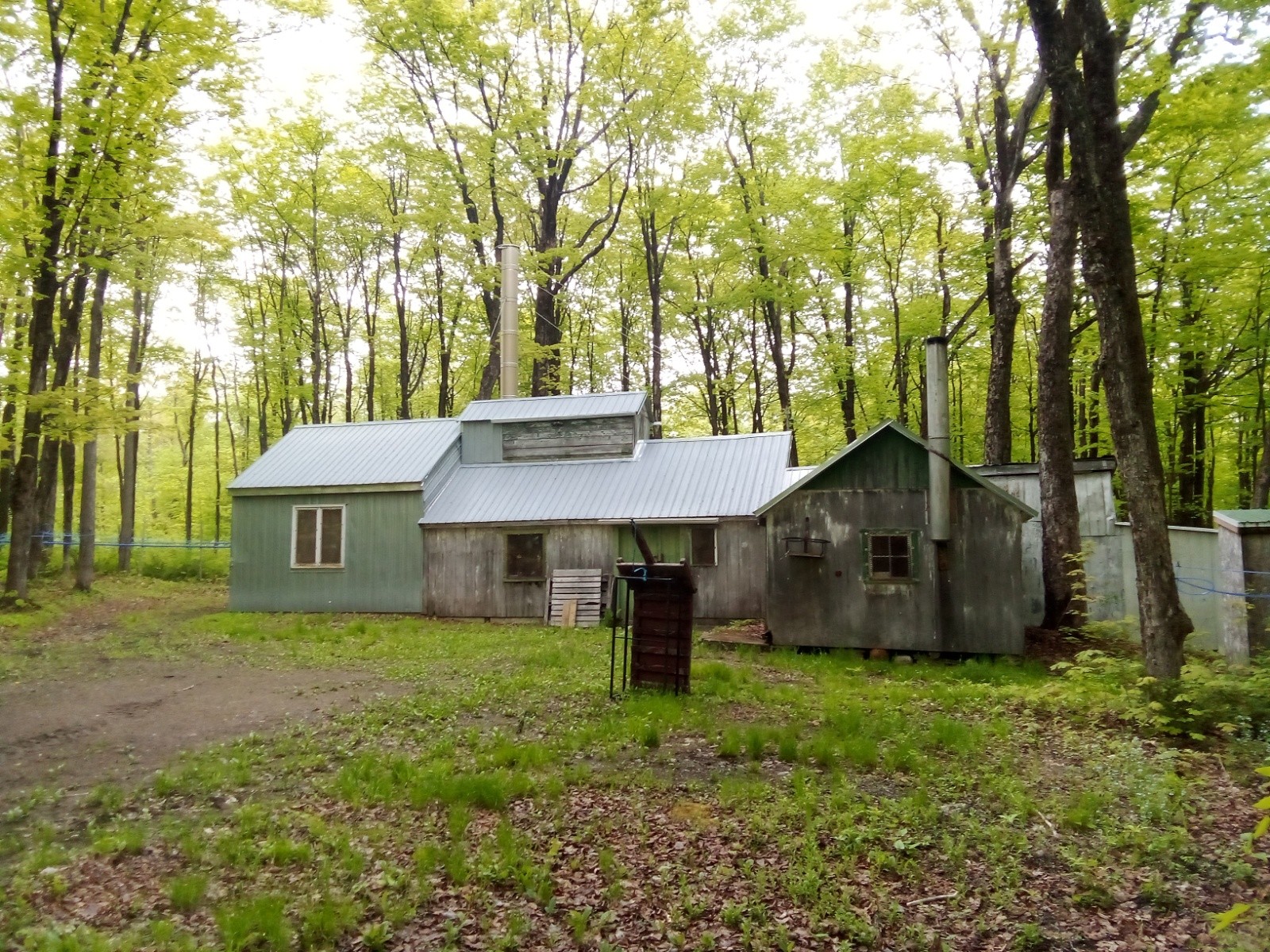 Cabane à sucre&nbsp;