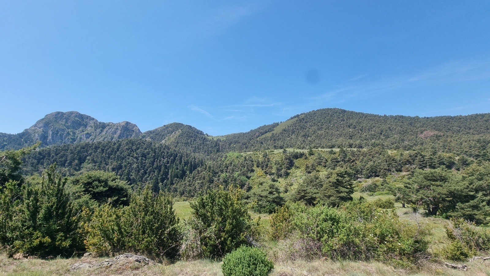 #7 Bientôt la fonction avec le Gr5 Bientôt la fonction avec le Gr5