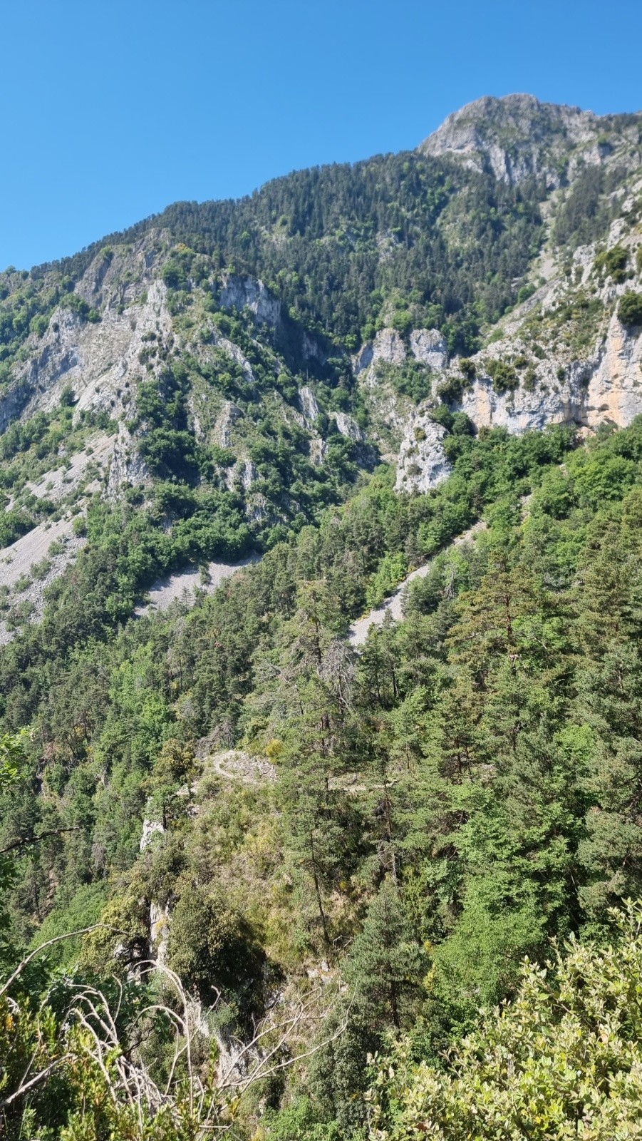 #3 On voit bien le Gr510 en balcon. Dommage qu On voit bien le Gr510 en balcon. Dommage qu'il ne soit pas tout le temps comme ça.