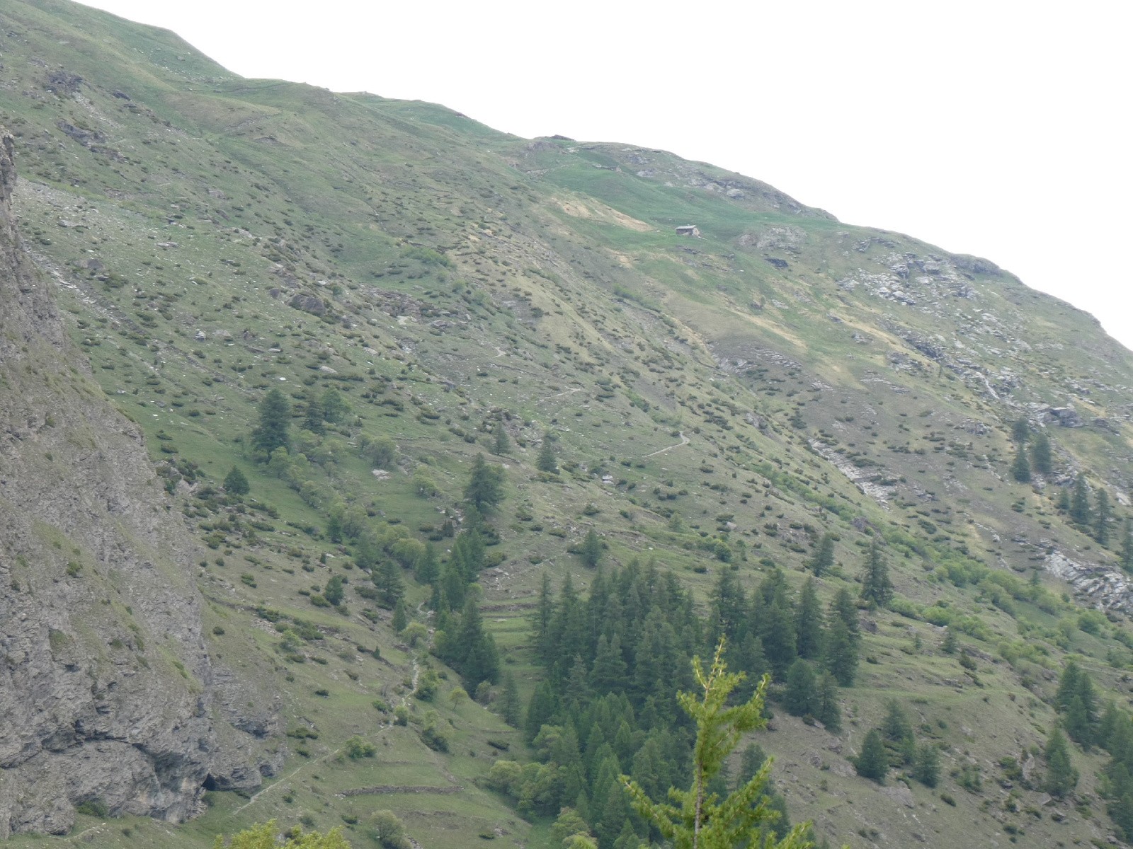 #12 Le versant du Coin au-dessus du Villaron Le versant du Coin au-dessus du Villaron