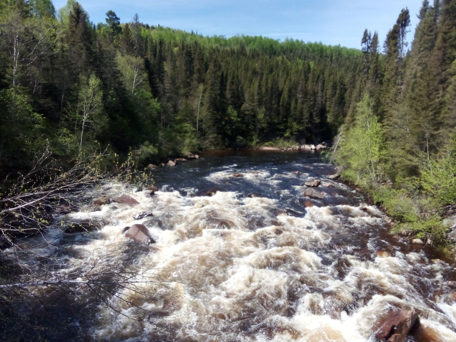 #20 Rivière Malbaie Rivière Malbaie