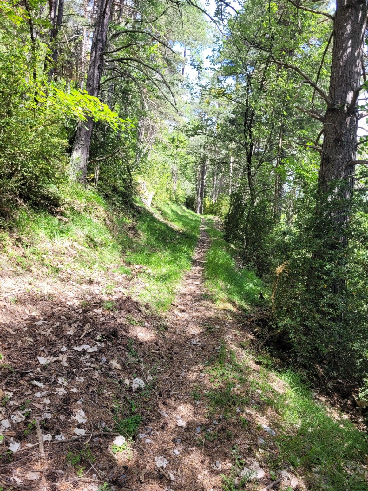#1 Montée par les coupes de route Montée par les coupes de route