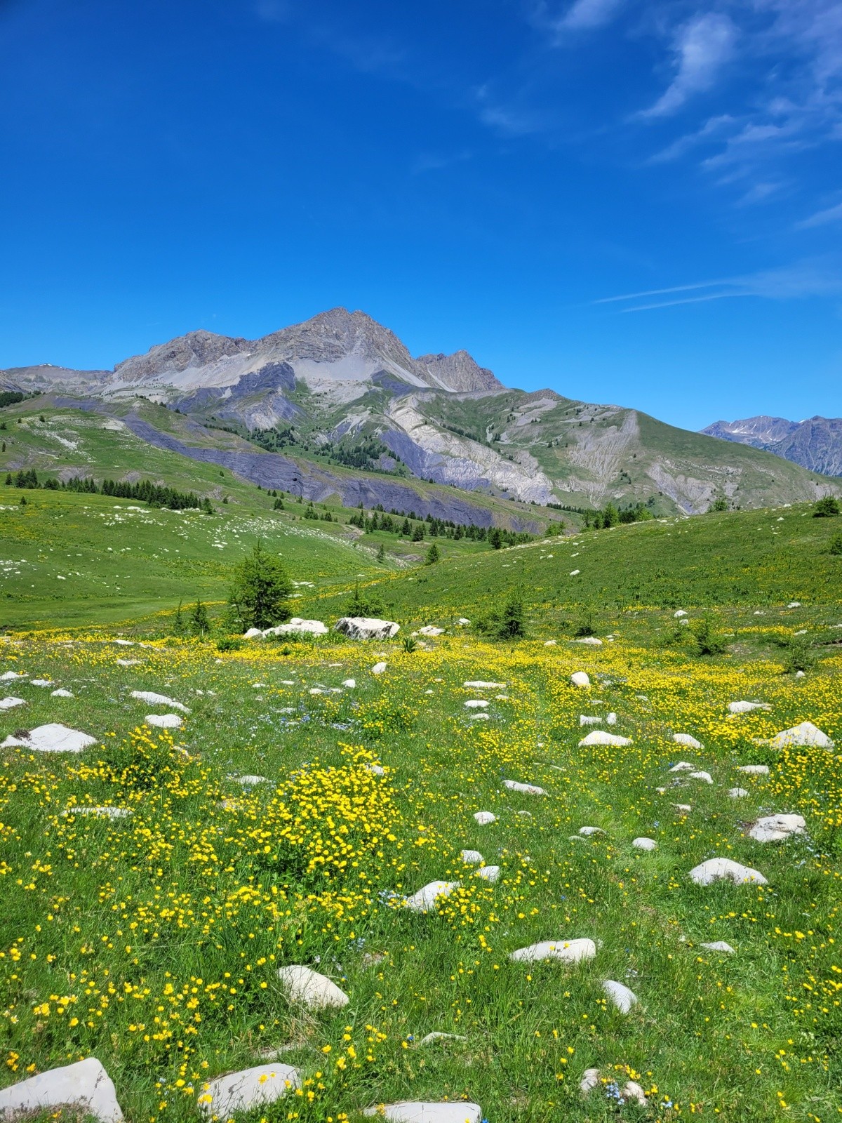 #15 Au dessus de la cabane Au dessus de la cabane
