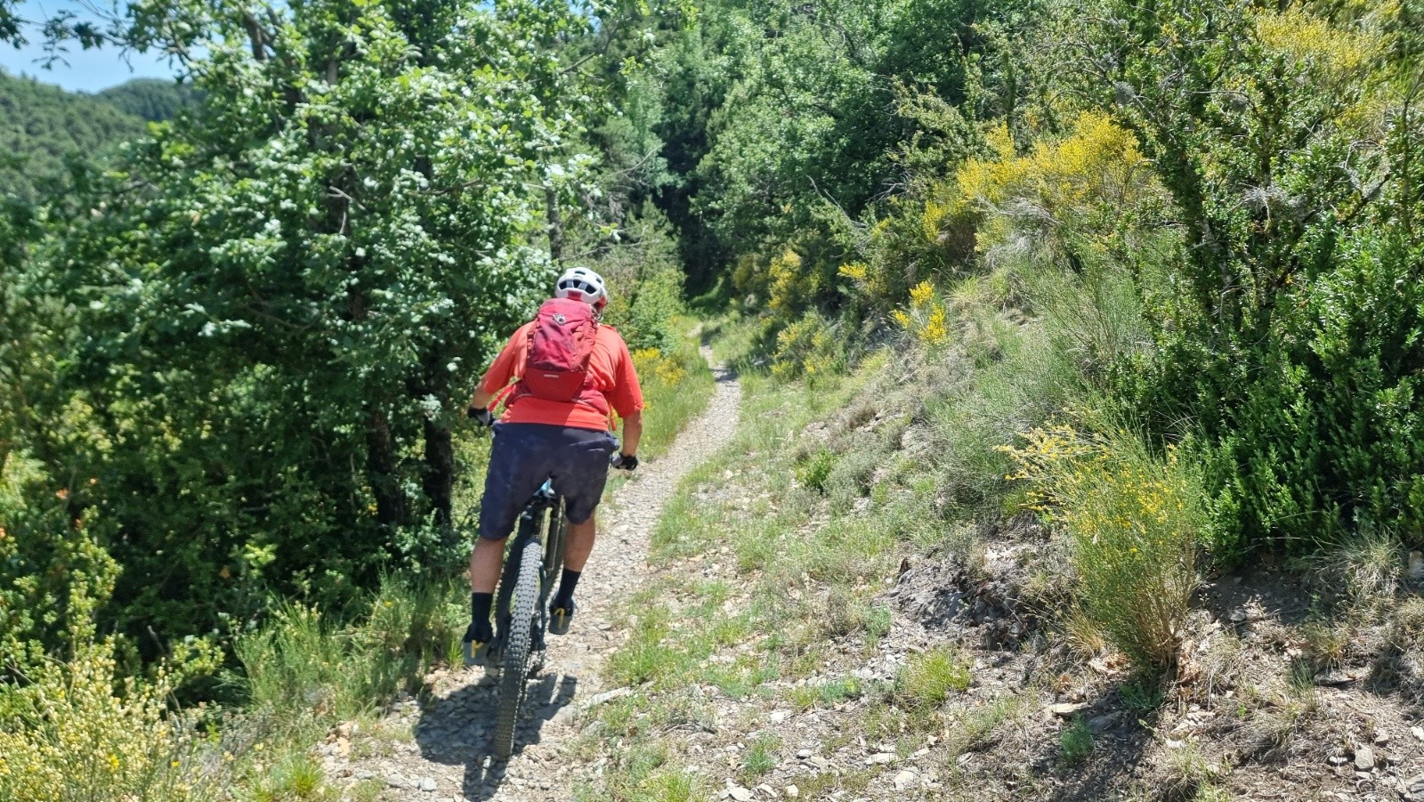 #6