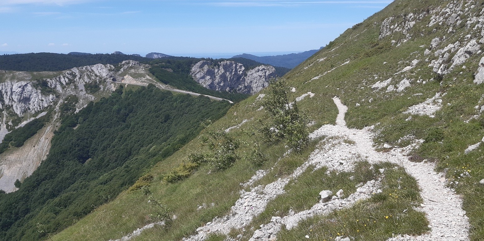 Le sentier du col dans sa partie large.&nbsp;