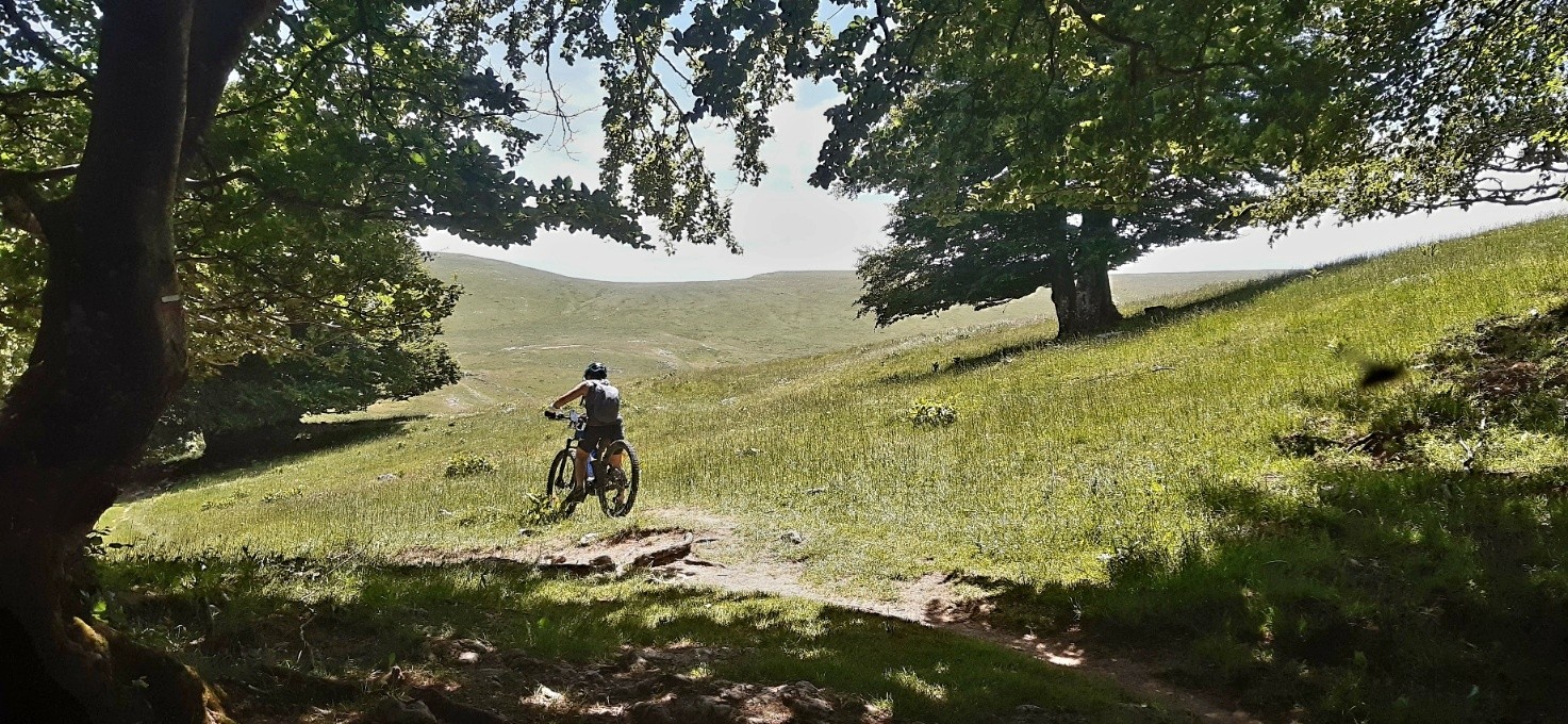 Sortie de la forêt.