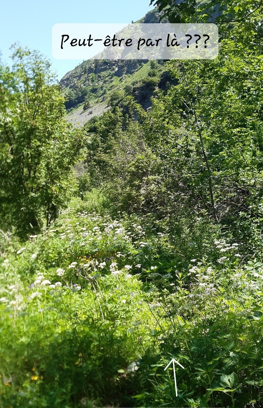 #8 Le sentier sous 1800Horrible Le sentier sous 1800Horrible