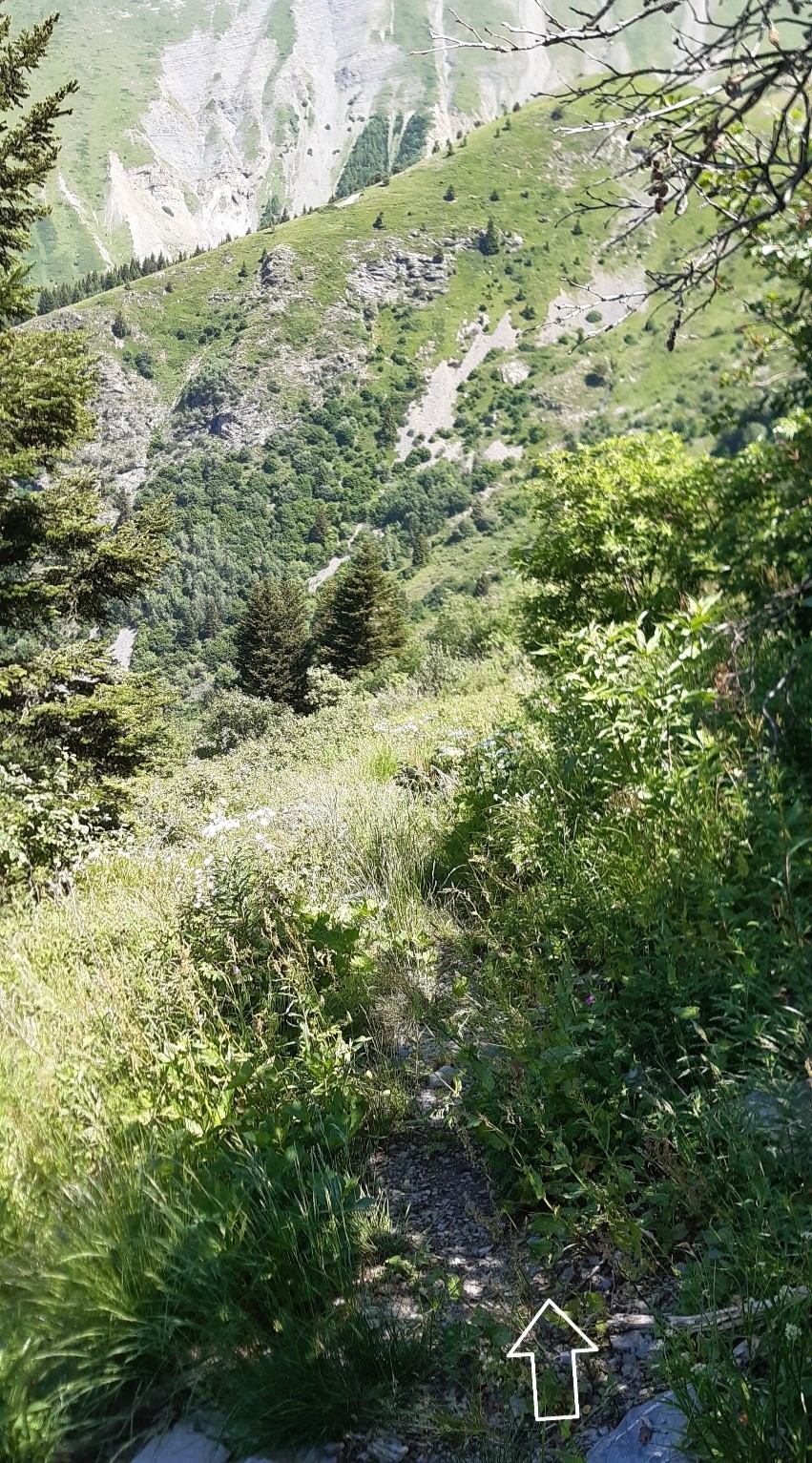 #7 Le sentier sauvage sous 1800 Le sentier sauvage sous 1800