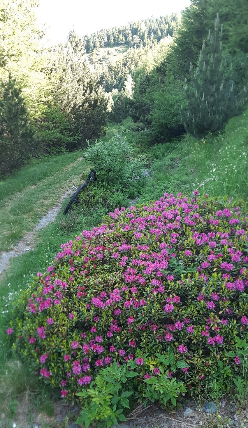 #2 Montée sur la piste Montée sur la piste