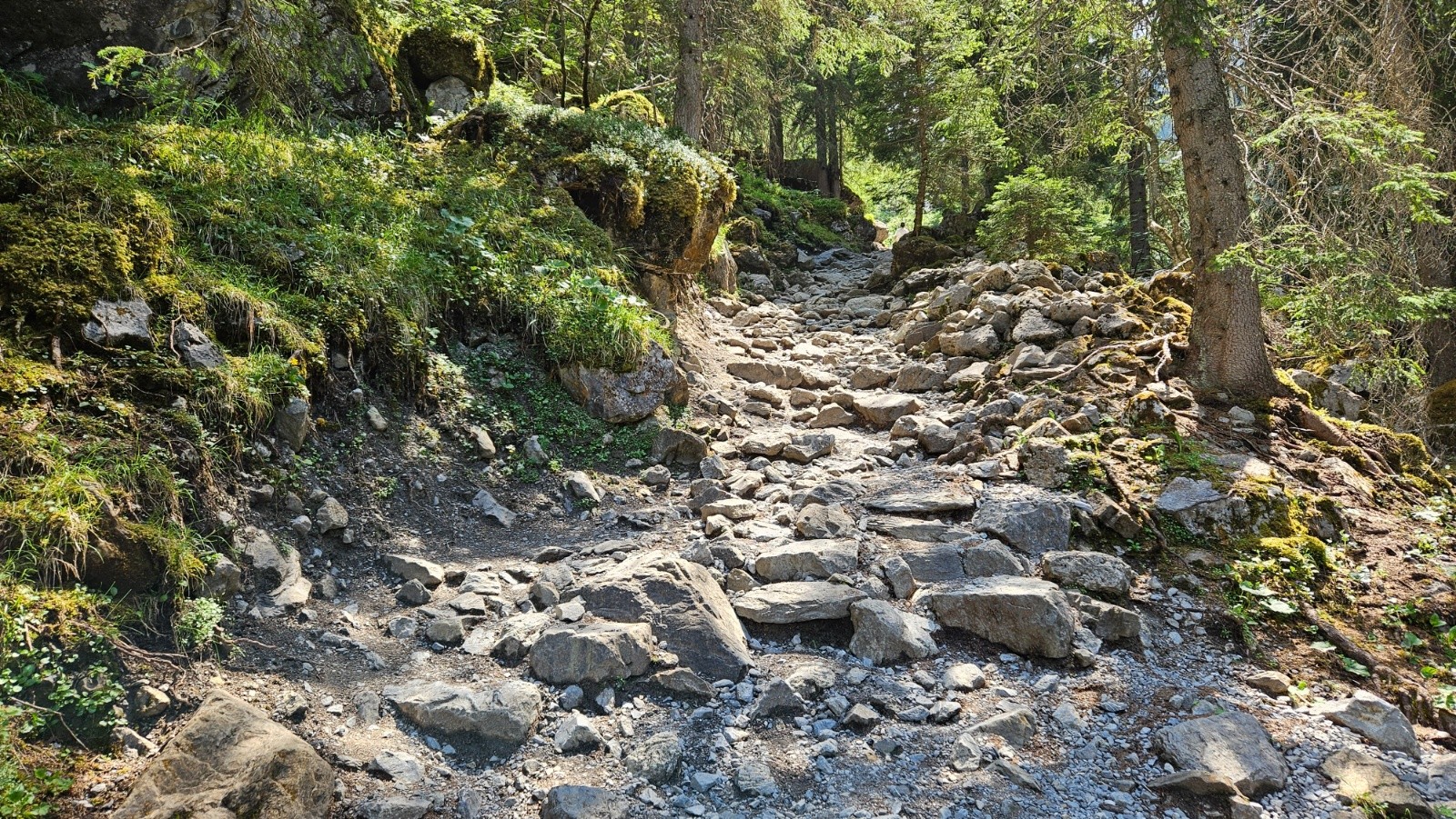 Sentier que j’adore.