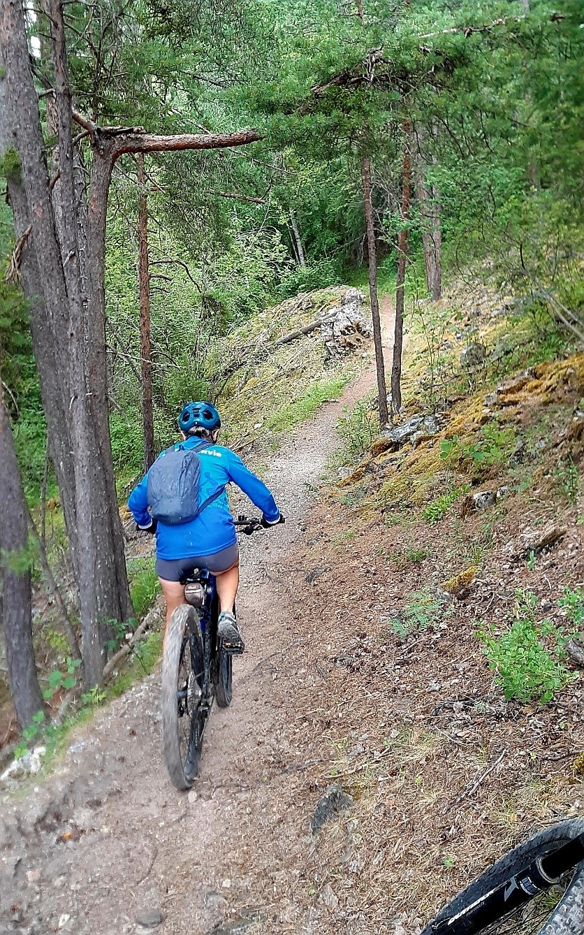 &nbsp;Entre Bramousse et la route