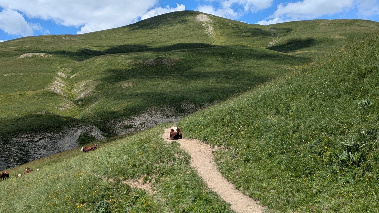 &nbsp;je sortirai du sentier pour la laisser tranquille
