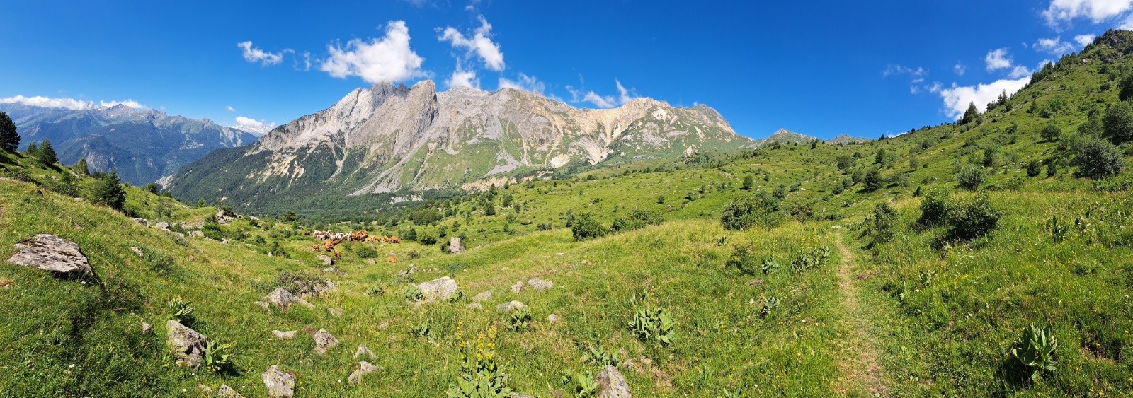 #5 Sentier Balcon Sentier Balcon