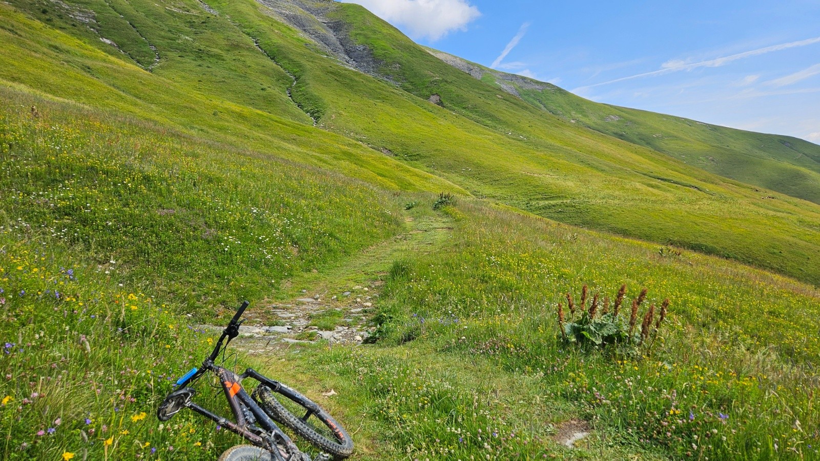 #1 Très joli flore avec quelques marmottes. Très joli flore avec quelques marmottes.