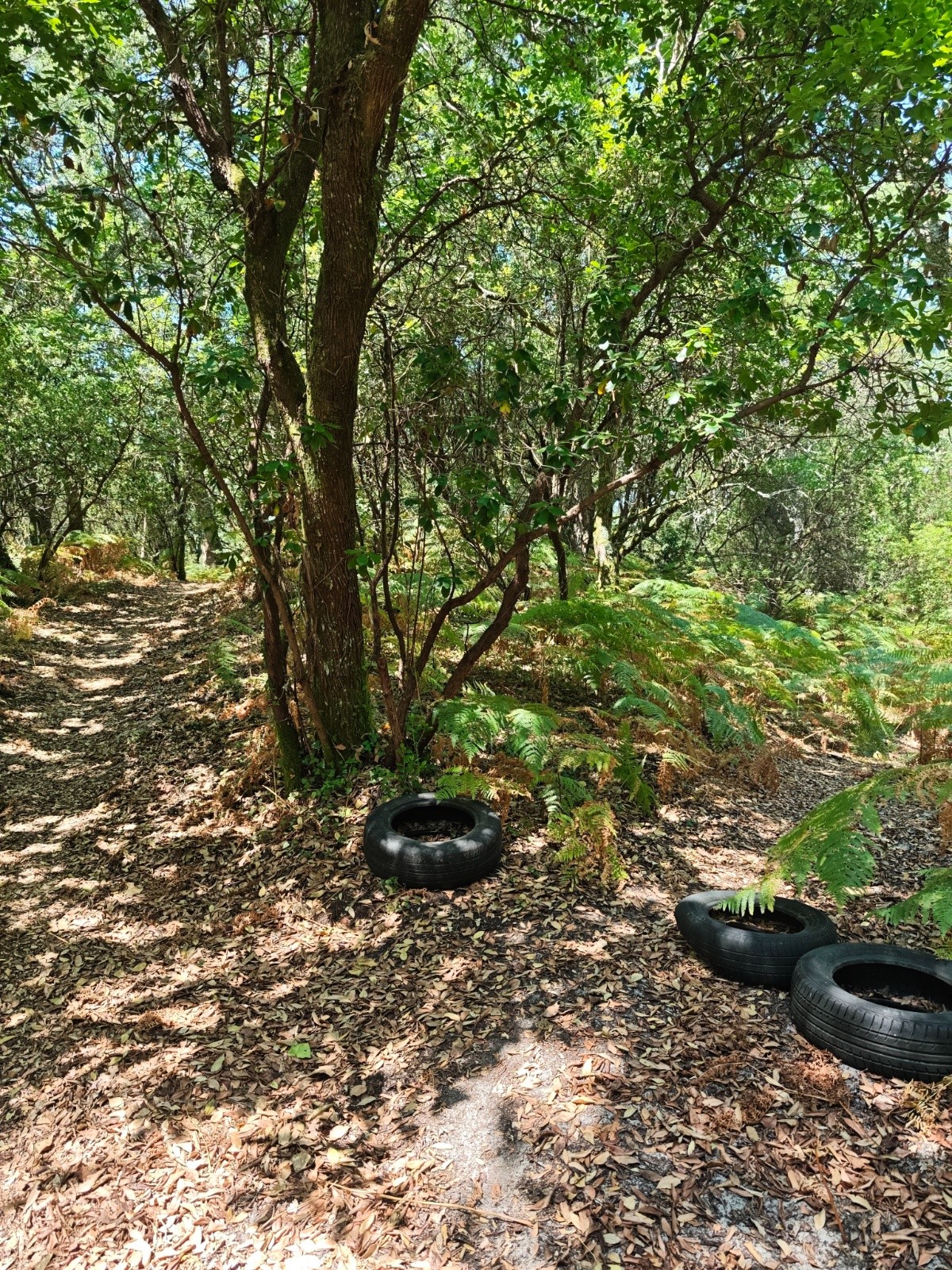 #5 Pas de cailloux pour faire des cairns par ici... Pas de cailloux pour faire des cairns par ici...