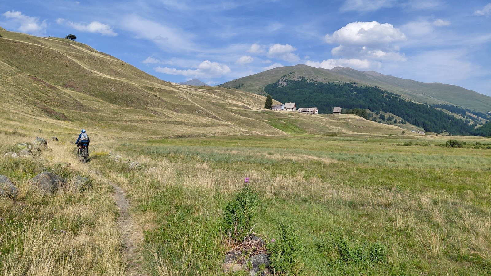 #19 Vers le marais du Bourget Vers le marais du Bourget