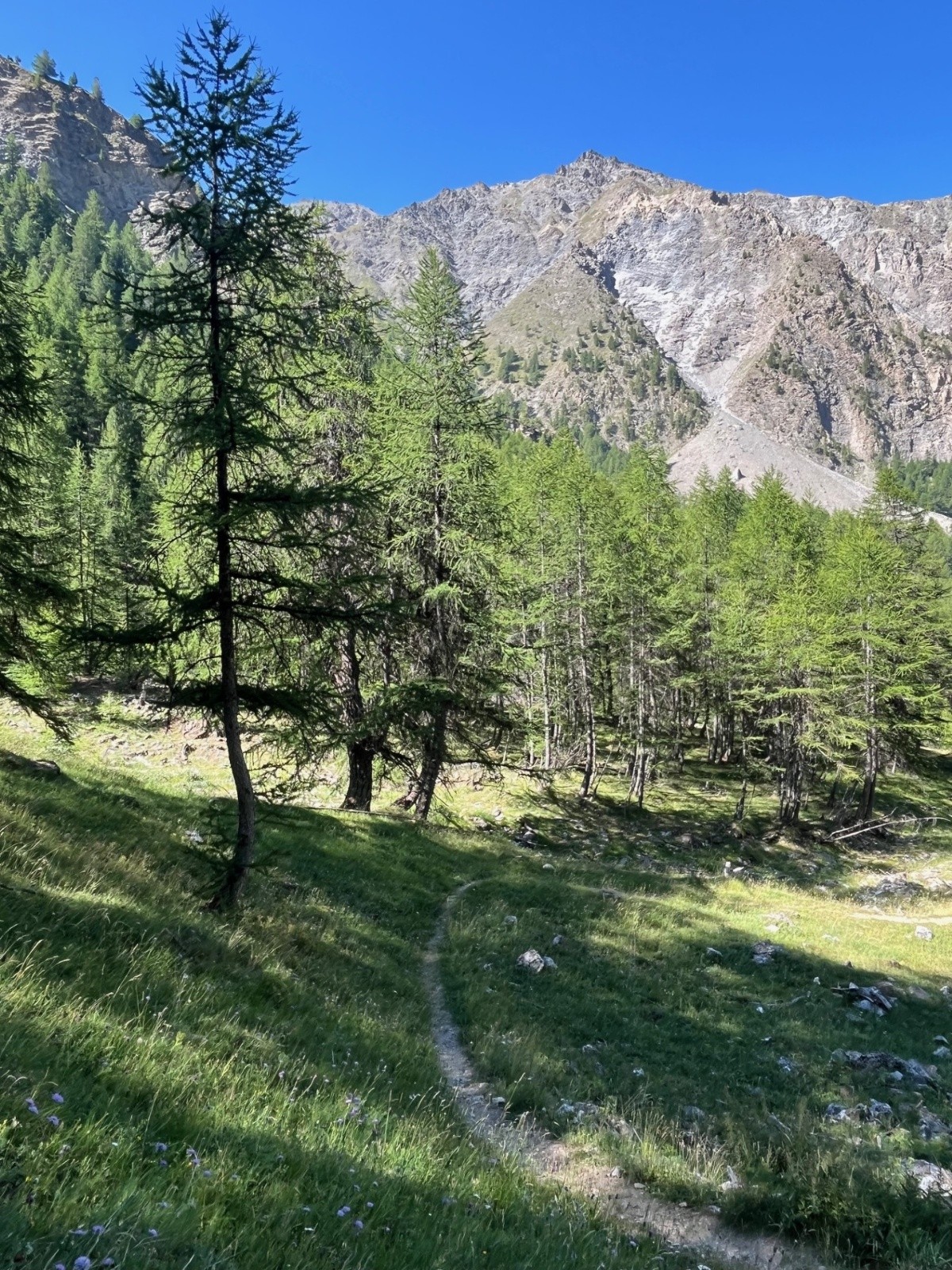 &nbsp;Ambiance Queyras