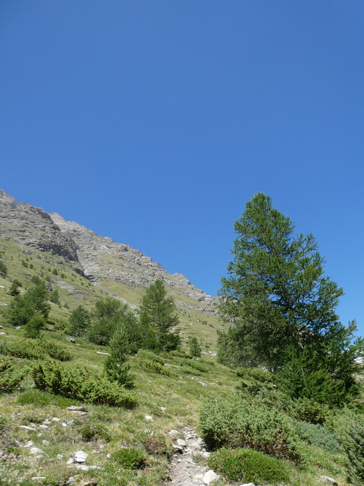 Début de montée au lac