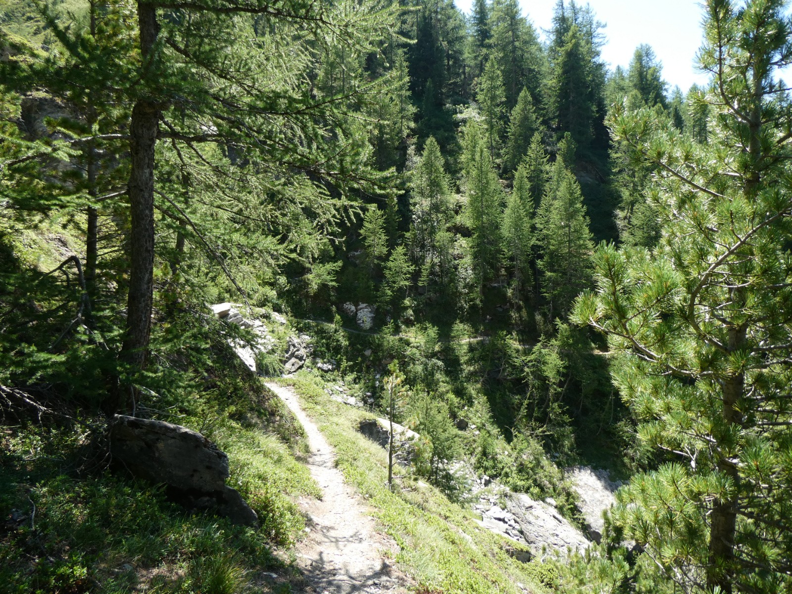 Sentier des Alpes