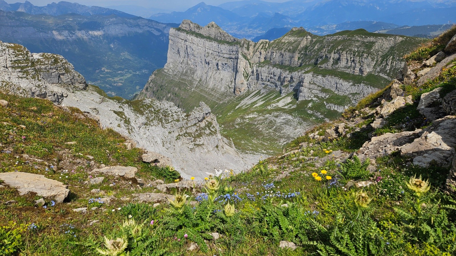 C’est bien fleuri.&nbsp;
