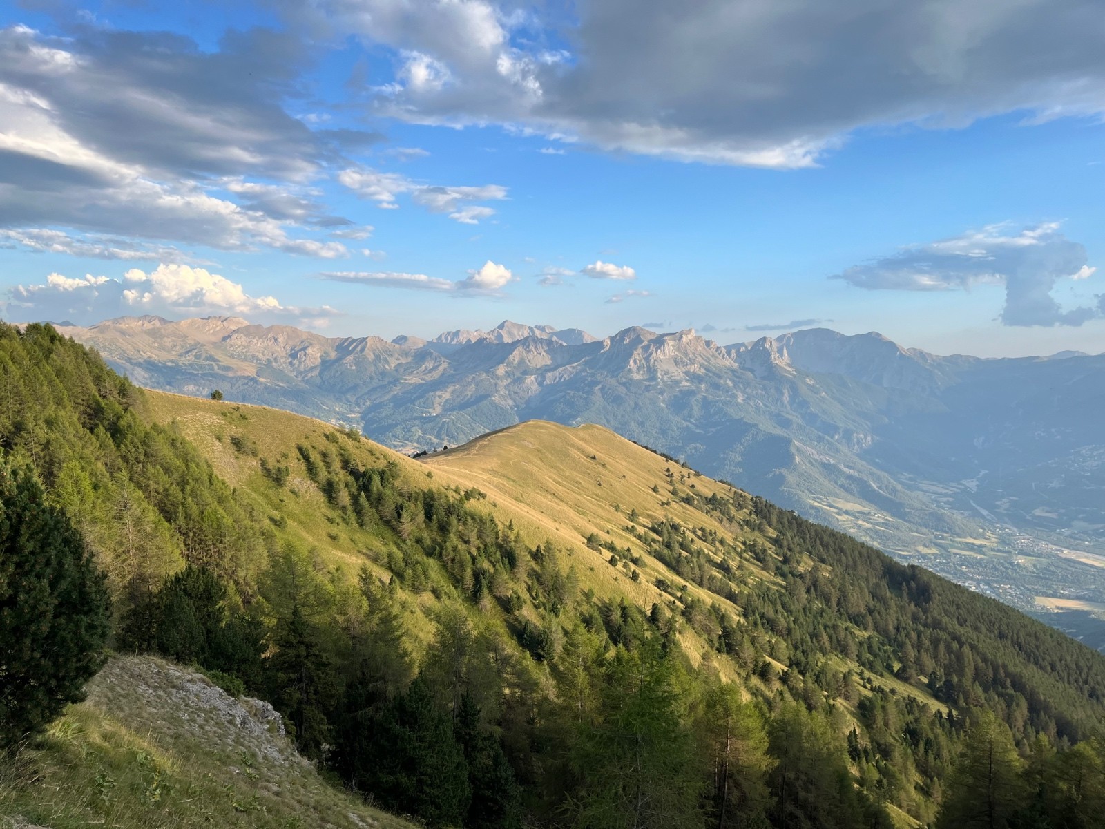 #6 soleil boeuf soleil boeuf