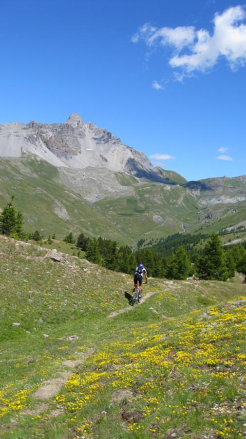 #6 Beau cadre Beau cadre