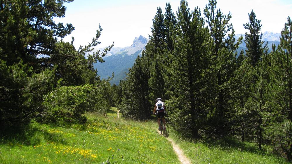 #11 Grandes lignes droite : de rêve Grandes lignes droite : de rêve