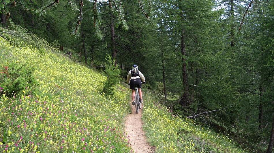 #22 Tout fleuri : sur les bords Tout fleuri : sur les bords