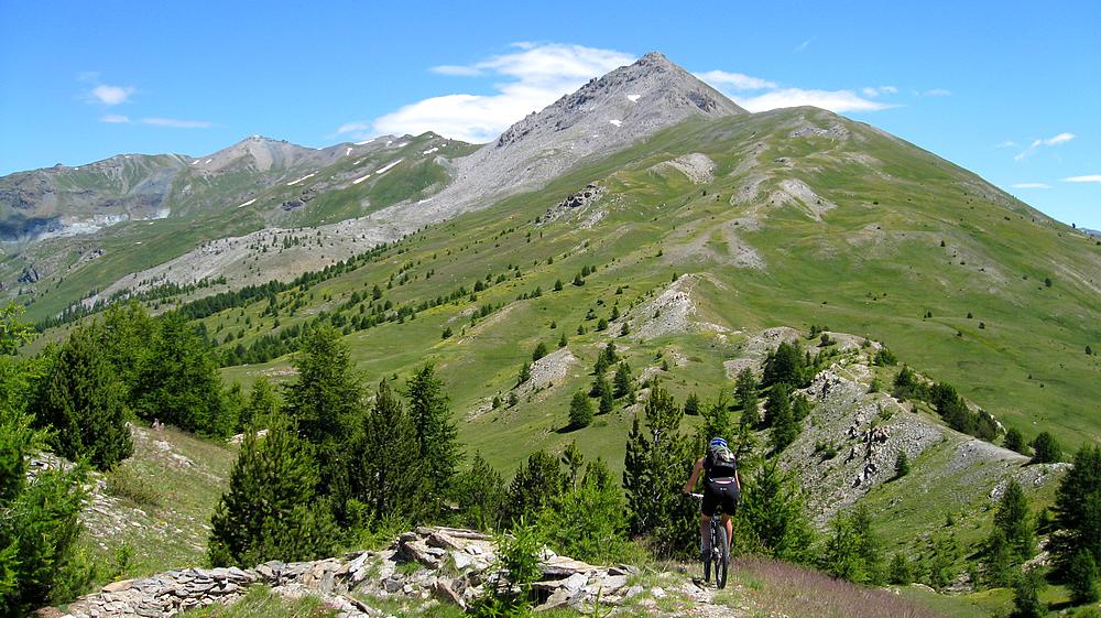 #5 Petit tour du plateau : avec Anne-Cé Petit tour du plateau : avec Anne-Cé