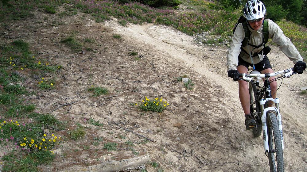 #20 Terrain sablonneux Terrain sablonneux