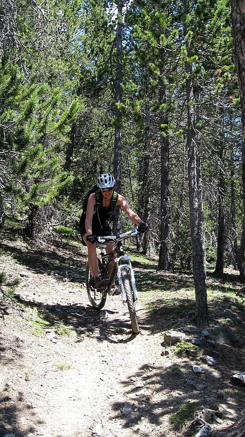 #12 Petites : épingles larges Petites : épingles larges