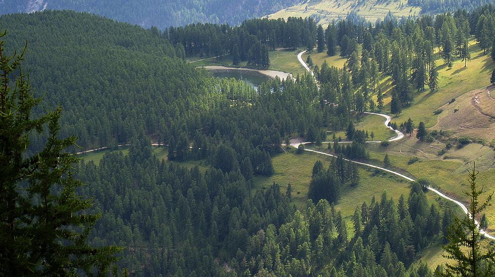 #19 Lac de Roue : Vu d Lac de Roue : Vu d'en haut