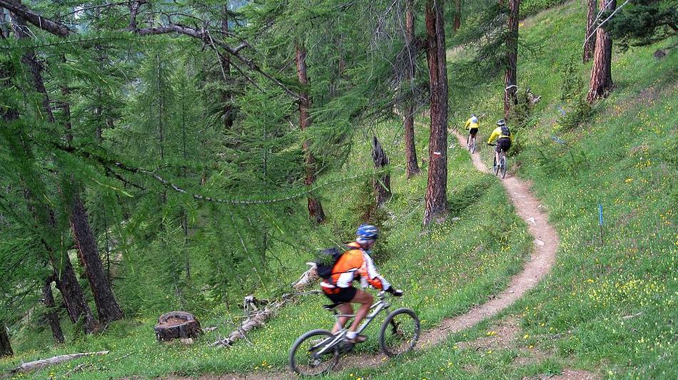 #21 Royale la descente : au milieu des mélèzes Royale la descente : au milieu des mélèzes