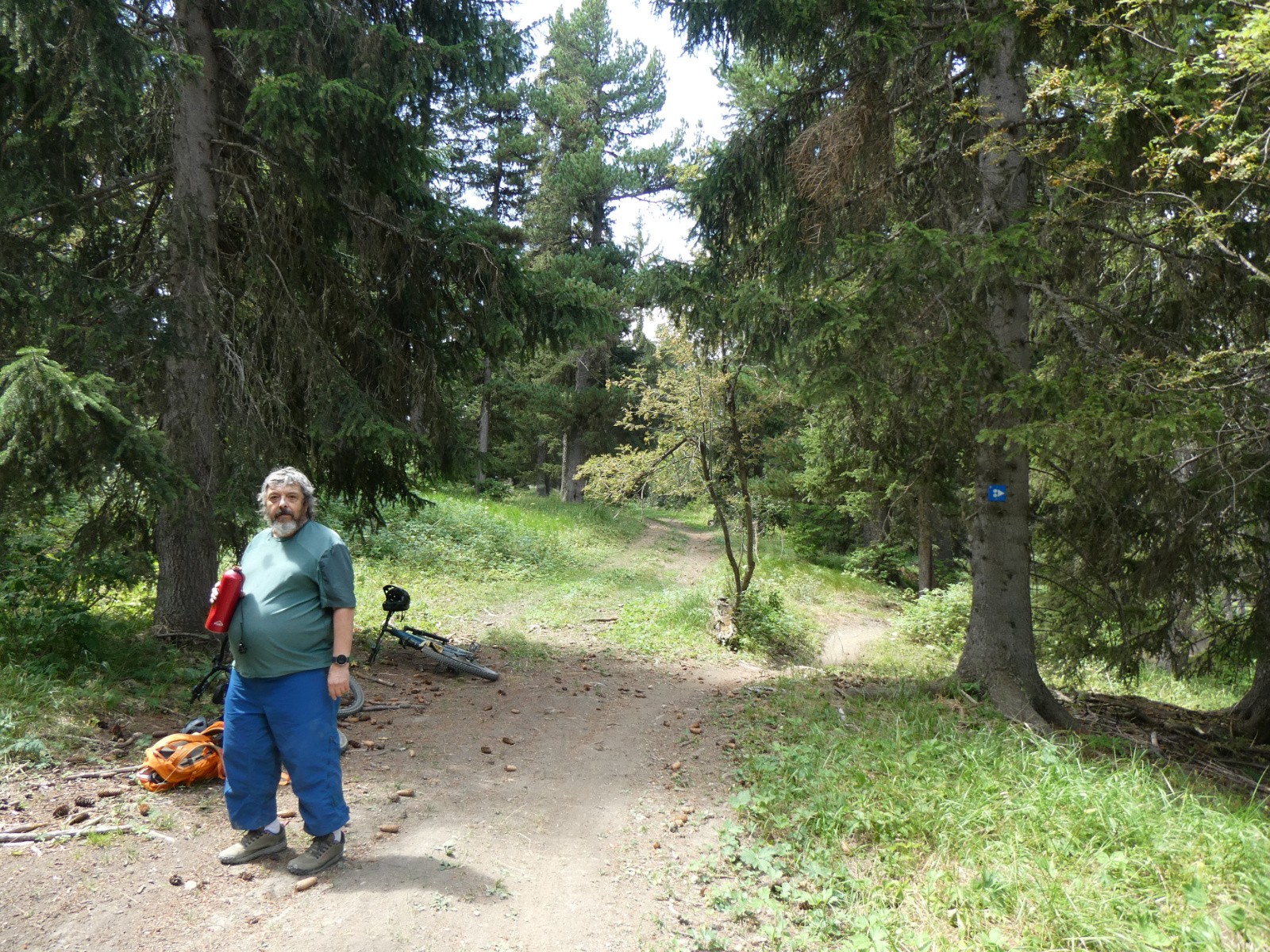 #13 Pause dans la forêt, c Pause dans la forêt, c'est très sec