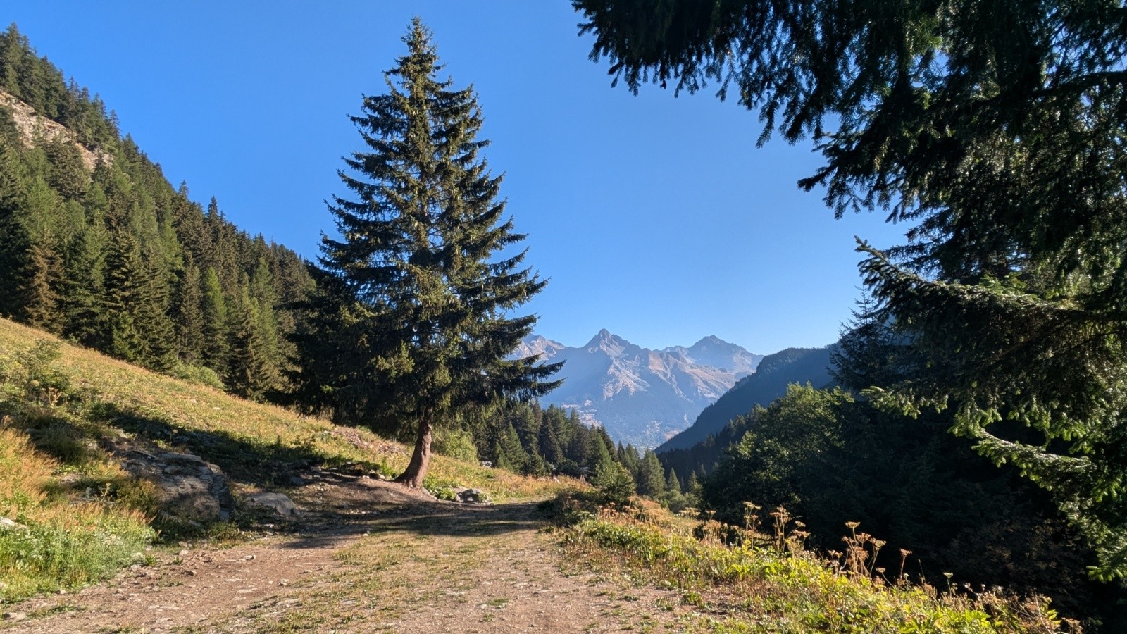 &nbsp;Piste rive gauche des Herbiers (raide)