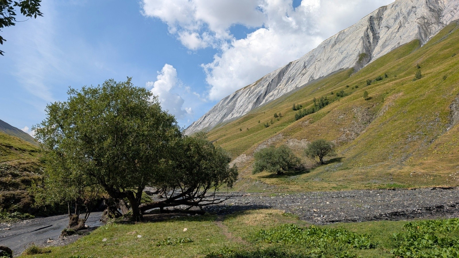 &nbsp;l'arbre remarquable qui marque le début du poussage même si Nico va bien s'acharner sur les pédales