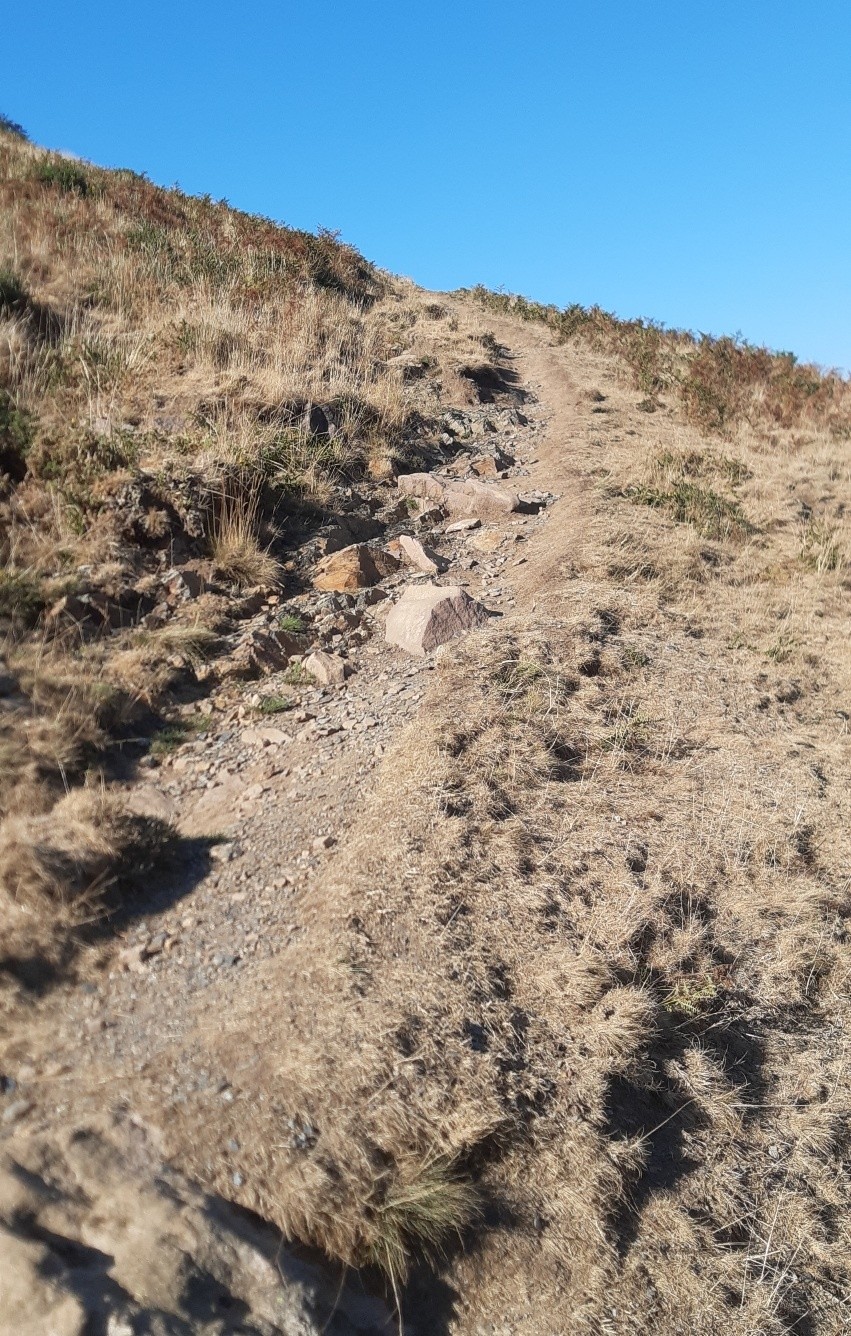 #5 Montée au collet Montée au collet