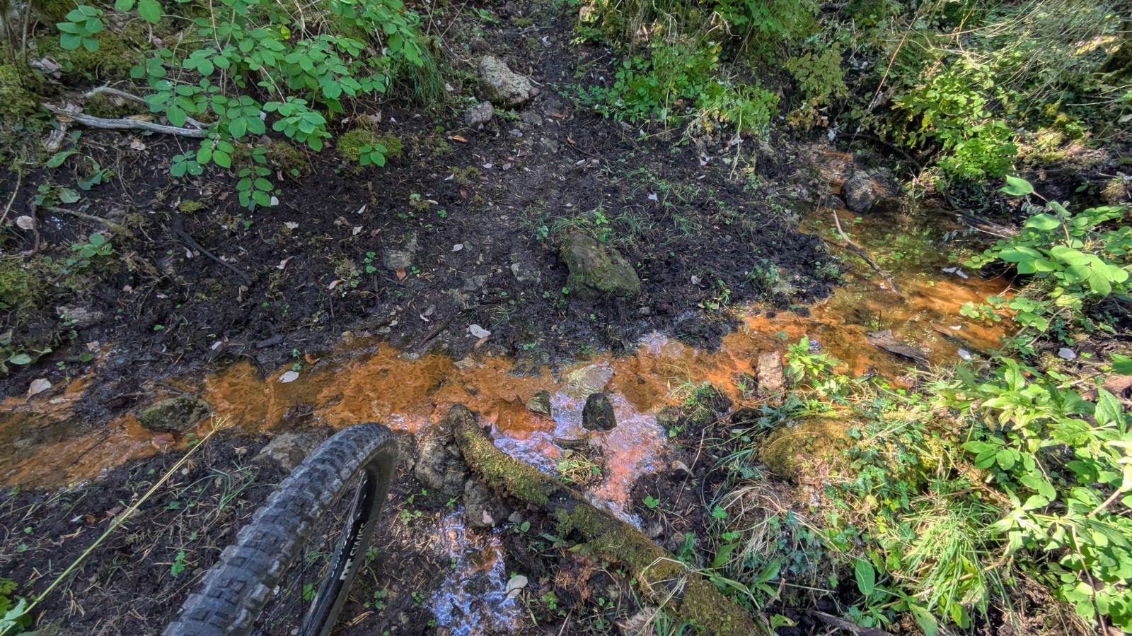 #4 Eau ferrugineuse Eau ferrugineuse