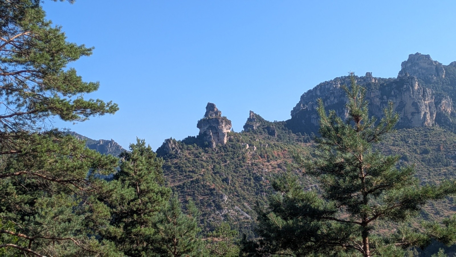 #2