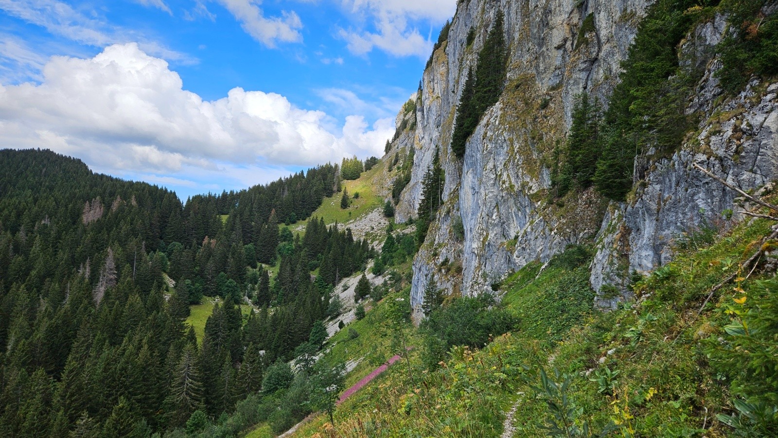 Vue arrière. &nbsp;